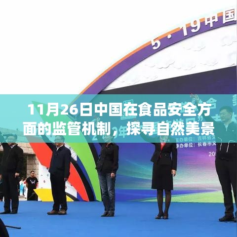 第2517页