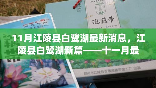 一花独放 第5页