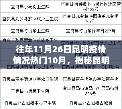 揭秘昆明疫情,历年疫情数据与深入了解指南(初学者与进阶用户必备)