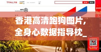 联系我们 第491页