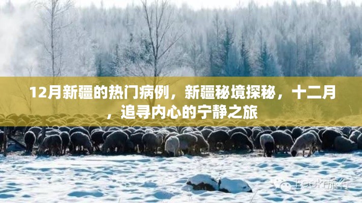 兢兢业业 第5页