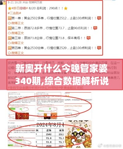新奥开什么今晚管家婆340期,综合数据解析说明_tool2.727
