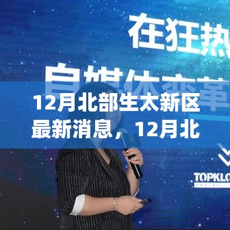 大张旗鼓 第4页