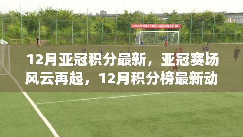 亚冠赛场风云再起,最新积分榜动态与赛事前瞻(十二月版)