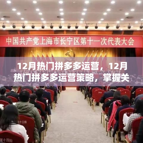 2024年12月 第382页