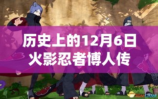2024年12月 第379页