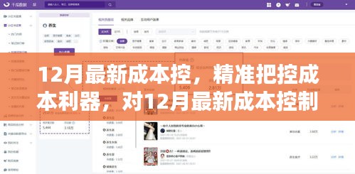 12月最新成本控制产品全面评测与介绍，精准把控成本的利器