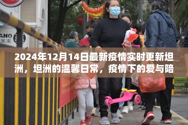 坦洲疫情下的温馨日常，实时更新与爱的陪伴