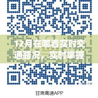 2024年12月15日 第12页