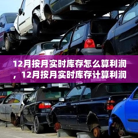 2024年12月 第206页