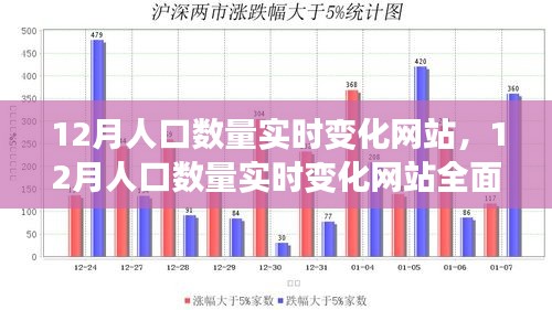 2024年12月19日 第8页