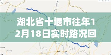 坚持不懈 第2页