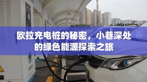 欧拉充电桩