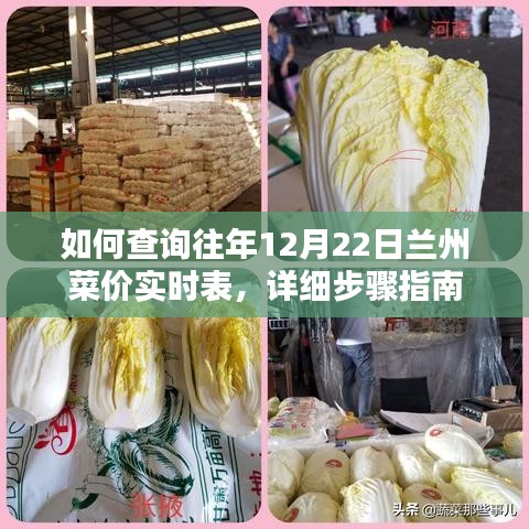 步骤详解