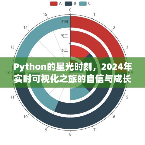 Python星光时刻，2024年实时可视化之旅的自信与成长魔法探索