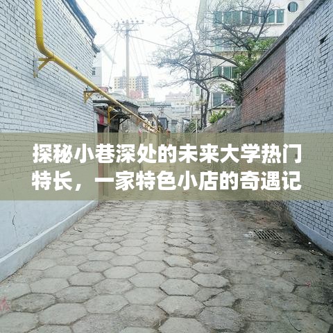 探秘小巷深处的未来大学热门特长特色小店，奇遇之旅