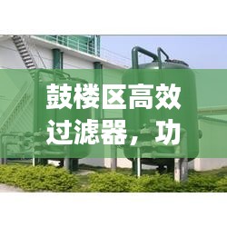 贵不可言 第3页