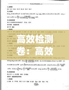 高效检测卷：高效课堂试卷 