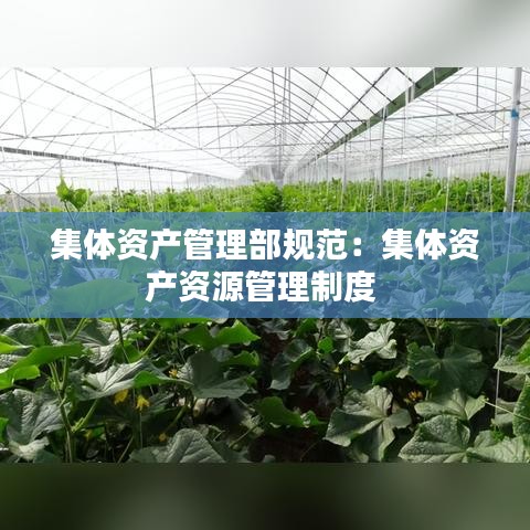 望其项背 第3页