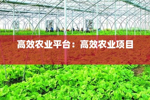 高效农业平台：高效农业项目 
