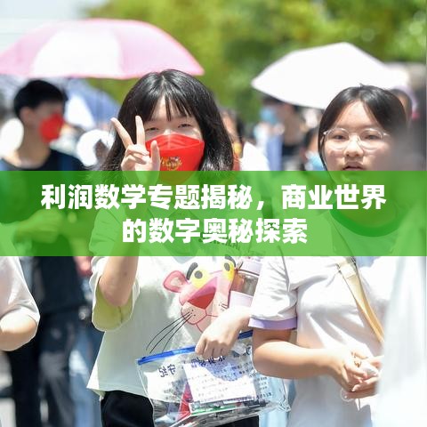 利润数学专题揭秘，商业世界的数字奥秘探索
