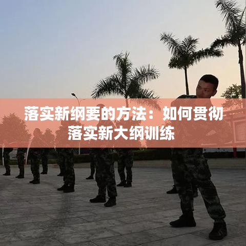 落实新纲要的方法：如何贯彻落实新大纲训练 