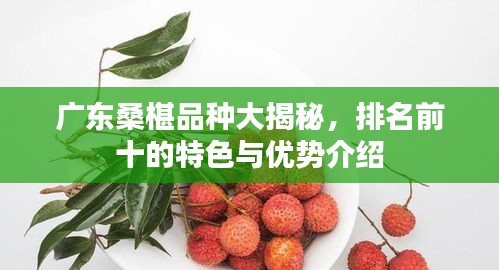 广东桑椹品种大揭秘，排名前十的特色与优势介绍