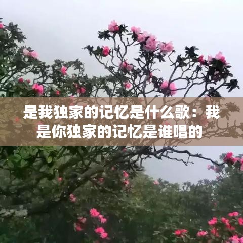 是我独家的记忆是什么歌：我是你独家的记忆是谁唱的 