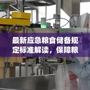 最新应急粮食储备规定标准解读，保障粮食安全的关键措施