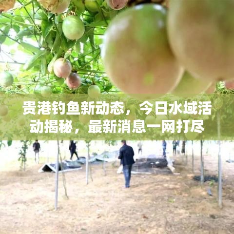 雅人清致 第3页