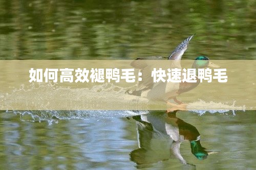 风度翩翩 第2页