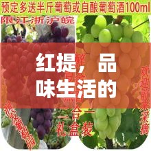 一毫不苟 第3页