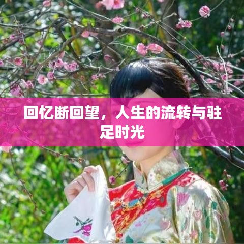 张袂如阴 第2页