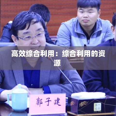 高效综合利用：综合利用的资源 