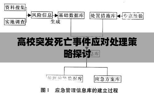 高校突发死亡事件应对处理策略探讨