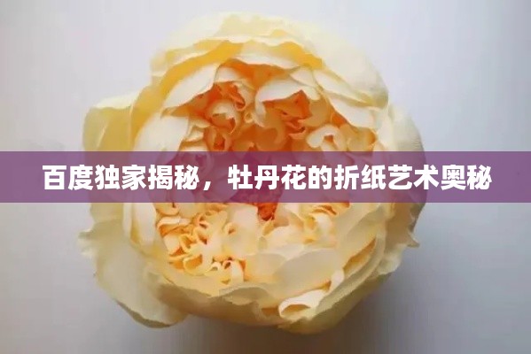 百度独家揭秘，牡丹花的折纸艺术奥秘