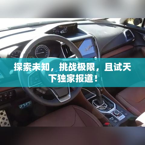 为民请命 第2页