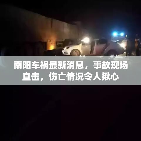 南阳车祸最新消息，事故现场直击，伤亡情况令人揪心