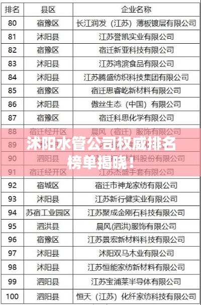 沭阳水管公司权威排名榜单揭晓！