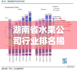 湖南省水果公司行业排名揭秘，行业分析与深度解读