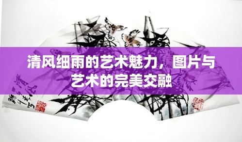 清风细雨的艺术魅力，图片与艺术的完美交融