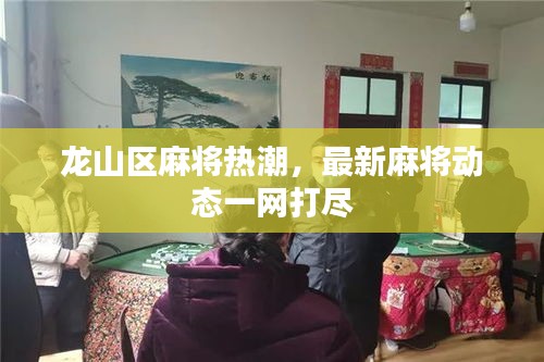 龙山区麻将热潮，最新麻将动态一网打尽