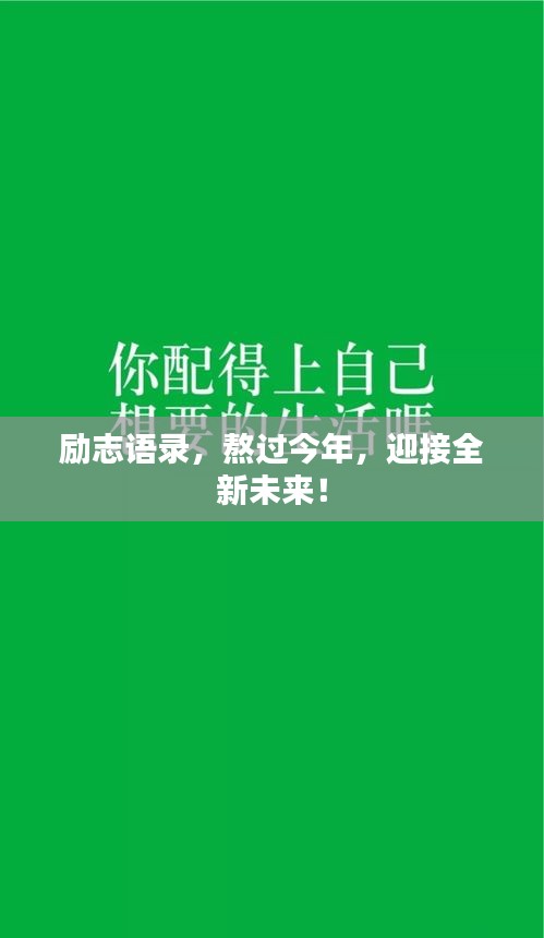 励志语录，熬过今年，迎接全新未来！
