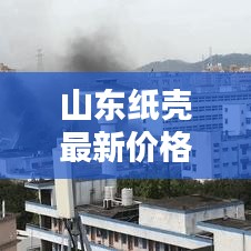 山东纸壳最新价格走势分析，今日行情揭秘