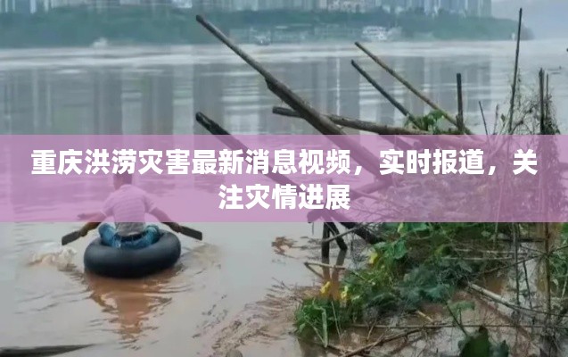 重庆洪涝灾害最新消息视频，实时报道，关注灾情进展
