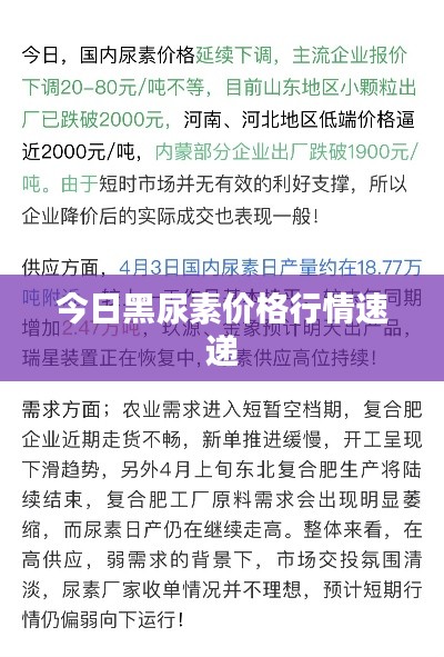 2025年6月7日 第5页