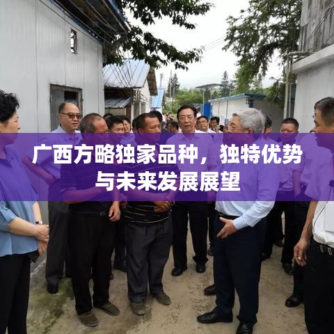 广西方略独家品种，独特优势与未来发展展望
