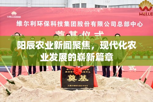 阳辰农业新闻聚焦，现代化农业发展的崭新篇章