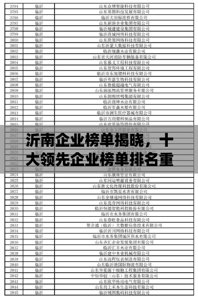 沂南企业榜单揭晓，十大领先企业榜单排名重磅出炉！