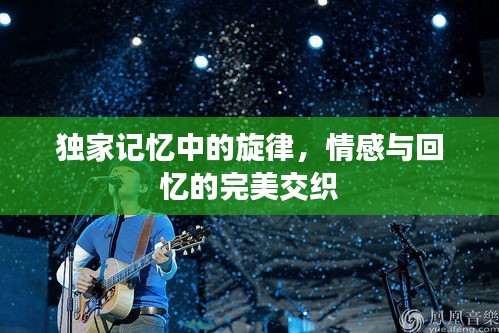 独家记忆中的旋律，情感与回忆的完美交织
